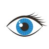 human eye isolated icon vector illustration design